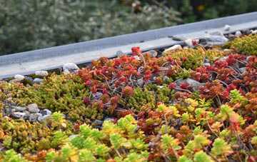 the cost of Tomaknock green roof installation