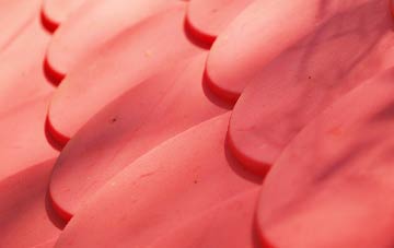 Tomaknock plastic roof costs