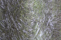 Tomaknock fibreglass roof work